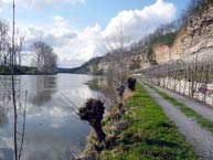 Neckar bei Lauffen