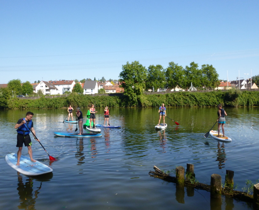 Stand Up Paddling Kurs Ludwigsburg Basics und Technik Die Zugvögel