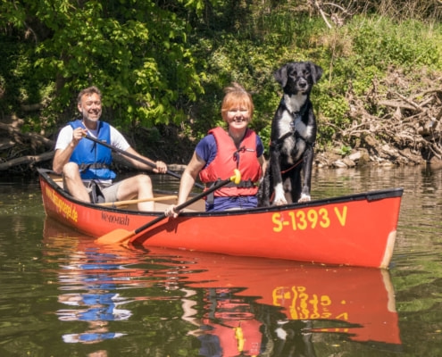 Kanufahren mit Hund Paddeln mit Hund