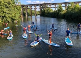 Stand Up Paddling Zugvögel