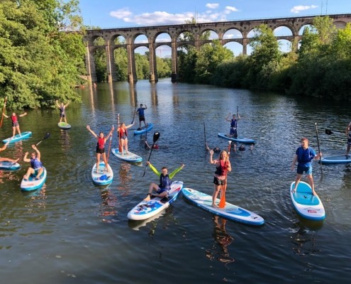 Stand Up Paddling Zugvögel