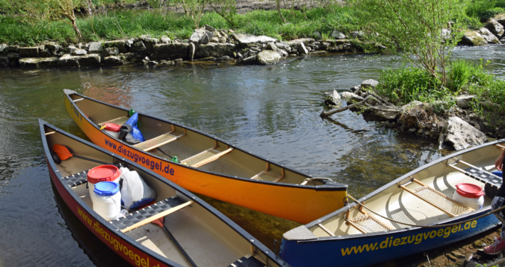 Heimische Wildkräuter vom Kanu aus entdecken