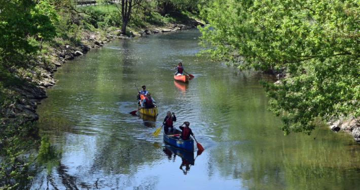 Paddeln und Wildkräuter am Flussufer entdecken